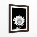 Cuadro decorativo de Canvas Lab