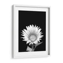 Girasol Blanco y Negro - Alemi | Cuadro decorativo de Canvas Lab