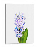 Jacinto - Alemi | Cuadro decorativo de Canvas Lab