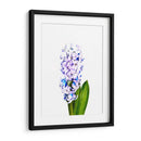 Jacinto - Alemi | Cuadro decorativo de Canvas Lab