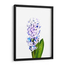 Jacinto - Alemi | Cuadro decorativo de Canvas Lab