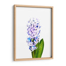 Jacinto - Alemi | Cuadro decorativo de Canvas Lab