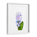 Jacinto - Alemi | Cuadro decorativo de Canvas Lab