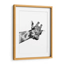 Jirafa en Blanco y Negro - Alemi | Cuadro decorativo de Canvas Lab