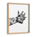 Jirafa en Blanco y Negro - Alemi | Cuadro decorativo de Canvas Lab