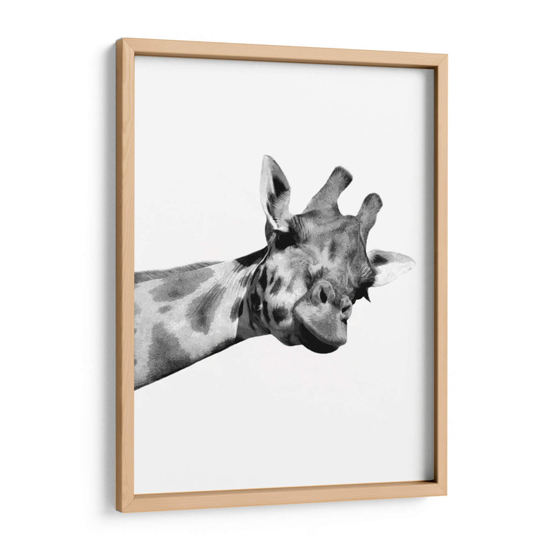 Jirafa en Blanco y Negro - Alemi | Cuadro decorativo de Canvas Lab