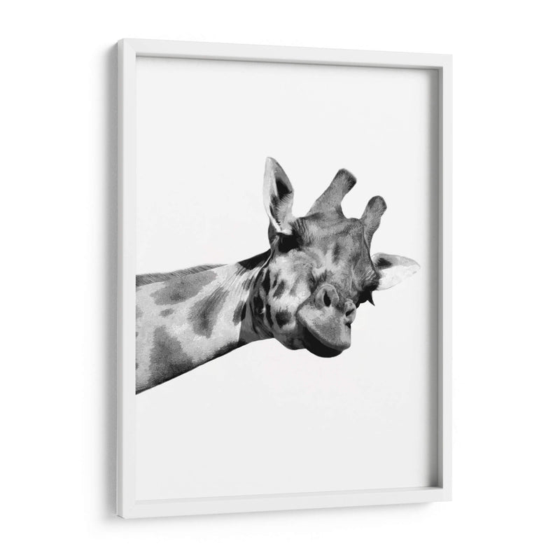 Jirafa en Blanco y Negro - Alemi | Cuadro decorativo de Canvas Lab