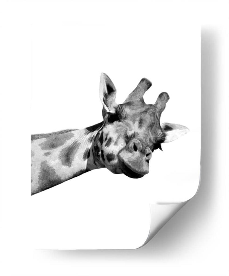 Jirafa en Blanco y Negro - Alemi | Cuadro decorativo de Canvas Lab