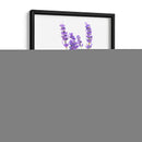 Lavanda - Alemi | Cuadro decorativo de Canvas Lab