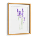 Lavanda - Alemi | Cuadro decorativo de Canvas Lab