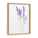 Lavanda - Alemi | Cuadro decorativo de Canvas Lab