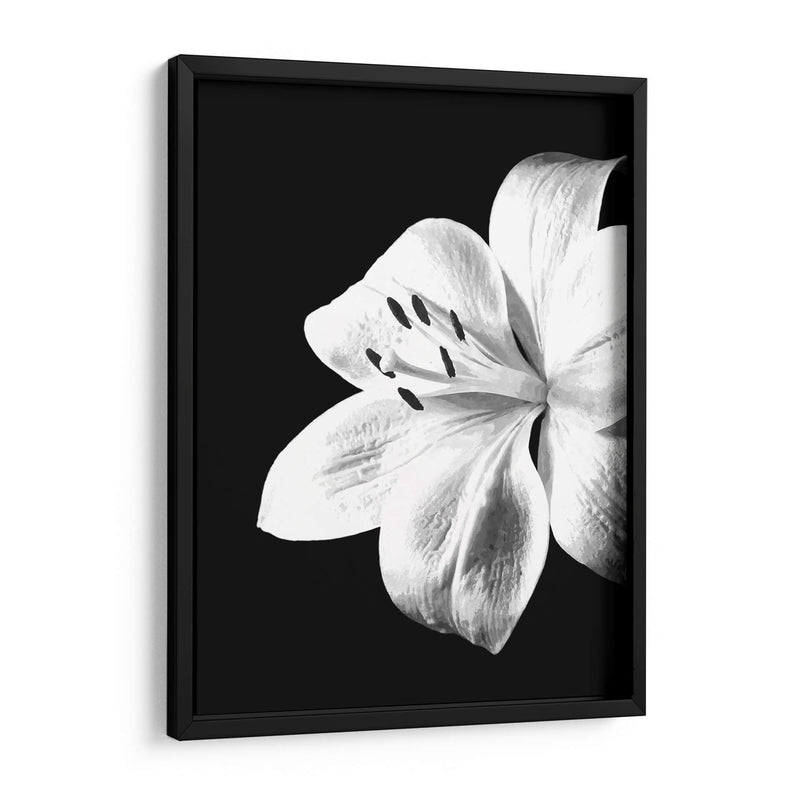 Lirio Blanco y Negro - Alemi | Cuadro decorativo de Canvas Lab
