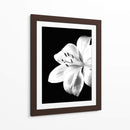 Cuadro decorativo de Canvas Lab