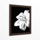 Cuadro decorativo de Canvas Lab