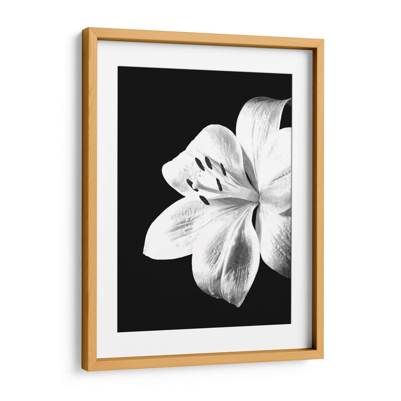 Lirio Blanco y Negro - Alemi | Cuadro decorativo de Canvas Lab