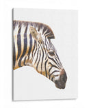 Perfil de Cebra - Alemi | Cuadro decorativo de Canvas Lab