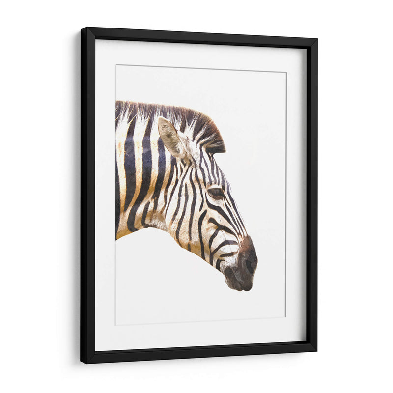 Perfil de Cebra - Alemi | Cuadro decorativo de Canvas Lab
