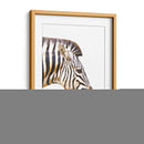 Perfil de Cebra - Alemi | Cuadro decorativo de Canvas Lab