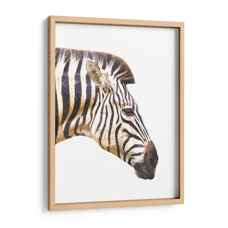 Perfil de Cebra - Alemi | Cuadro decorativo de Canvas Lab