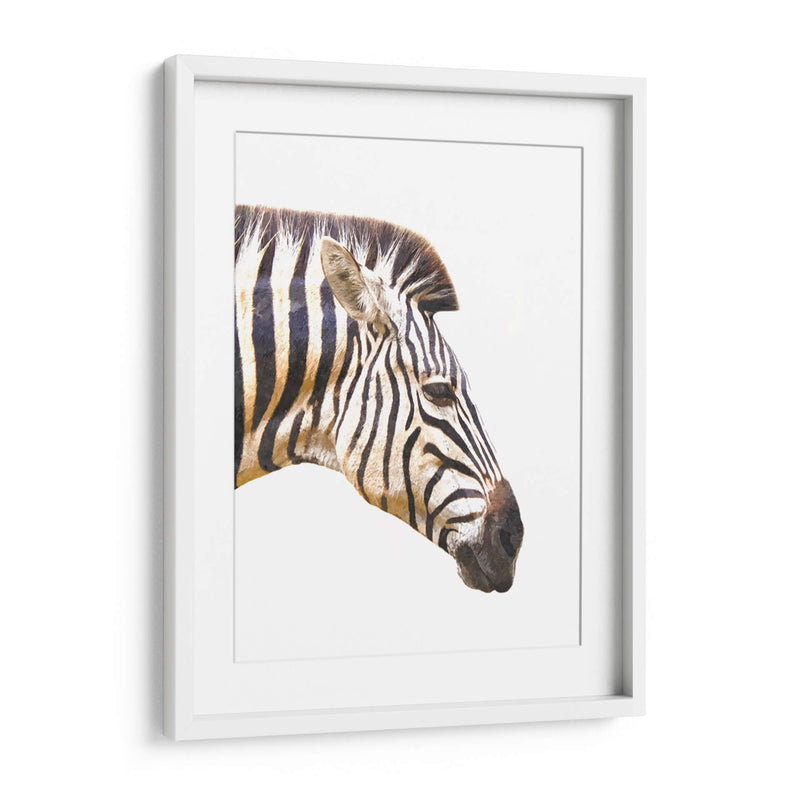 Perfil de Cebra - Alemi | Cuadro decorativo de Canvas Lab
