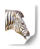 Perfil de Cebra - Alemi | Cuadro decorativo de Canvas Lab