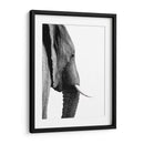 Perfil de Elefante Blanco y Negro - Alemi | Cuadro decorativo de Canvas Lab