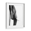 Perfil de Elefante Blanco y Negro - Alemi | Cuadro decorativo de Canvas Lab