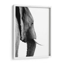 Perfil de Elefante Blanco y Negro - Alemi | Cuadro decorativo de Canvas Lab