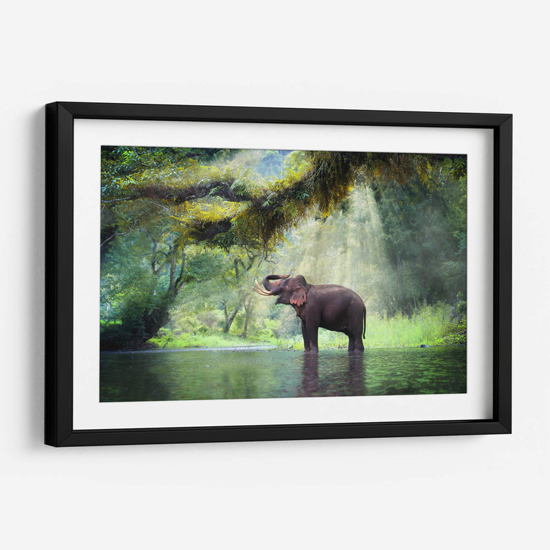 Ducha con rayos de sol | Cuadro decorativo de Canvas Lab
