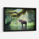 Ducha con rayos de sol | Cuadro decorativo de Canvas Lab