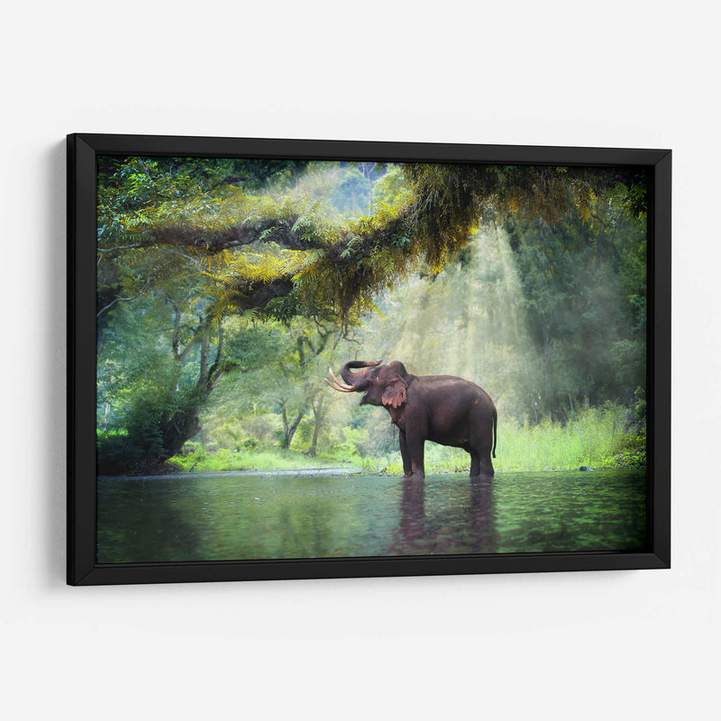 Ducha con rayos de sol | Cuadro decorativo de Canvas Lab