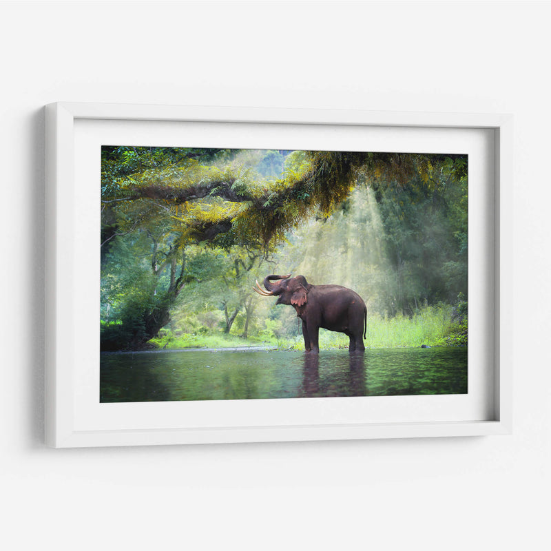 Ducha con rayos de sol | Cuadro decorativo de Canvas Lab