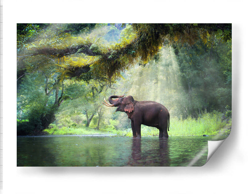 Ducha con rayos de sol | Cuadro decorativo de Canvas Lab