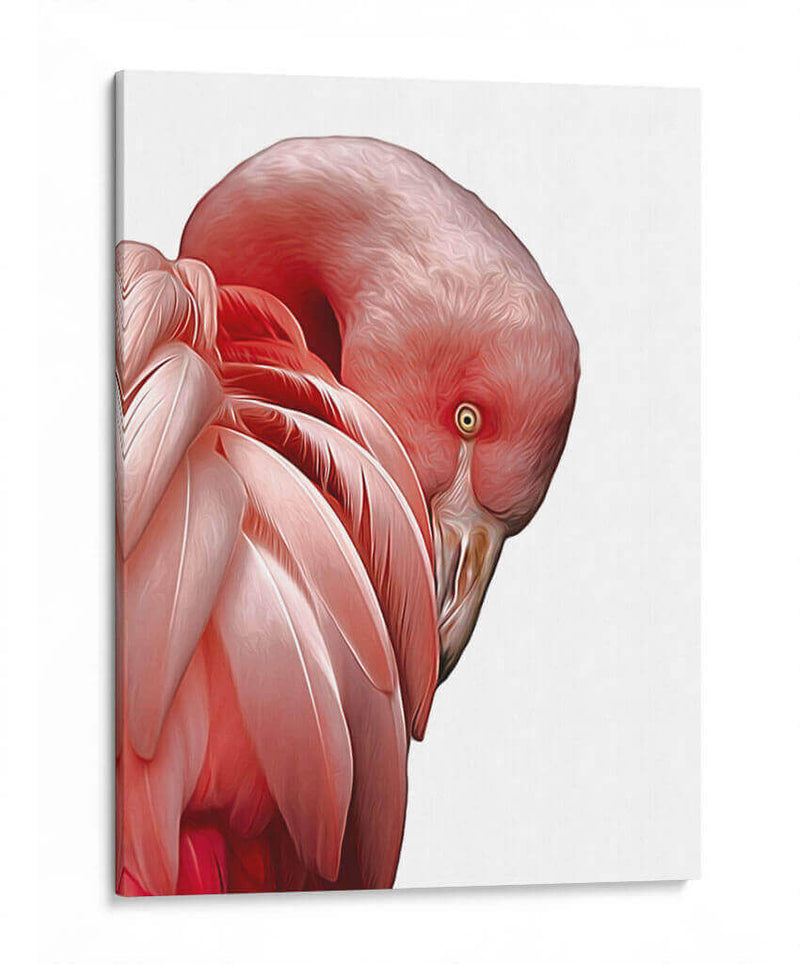 Perfil de Flamenco - Alemi | Cuadro decorativo de Canvas Lab