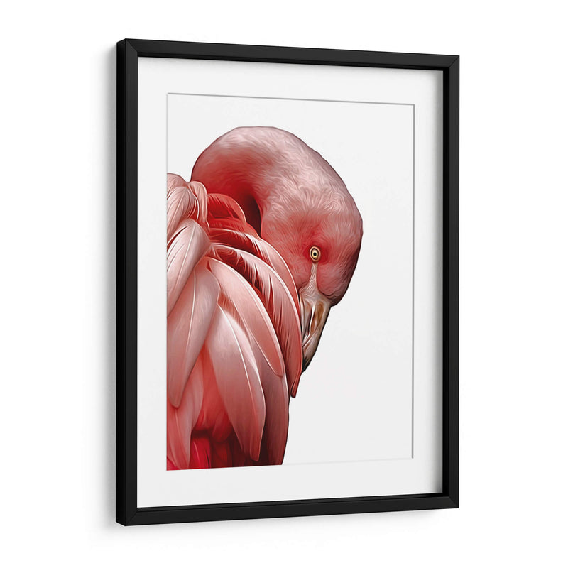 Perfil de Flamenco - Alemi | Cuadro decorativo de Canvas Lab