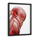 Perfil de Flamenco - Alemi | Cuadro decorativo de Canvas Lab