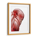 Perfil de Flamenco - Alemi | Cuadro decorativo de Canvas Lab