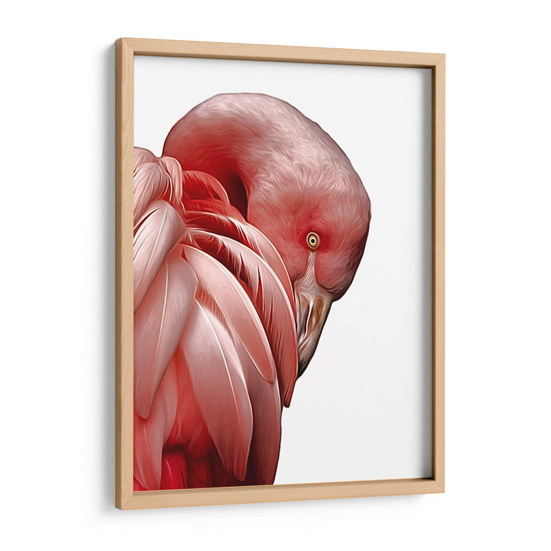 Perfil de Flamenco - Alemi | Cuadro decorativo de Canvas Lab