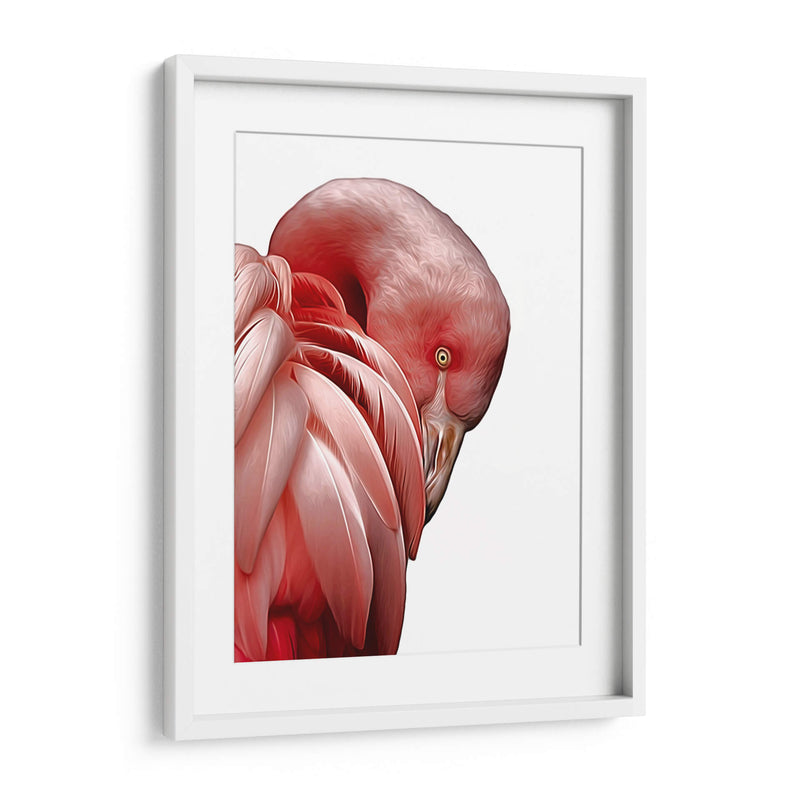 Perfil de Flamenco - Alemi | Cuadro decorativo de Canvas Lab