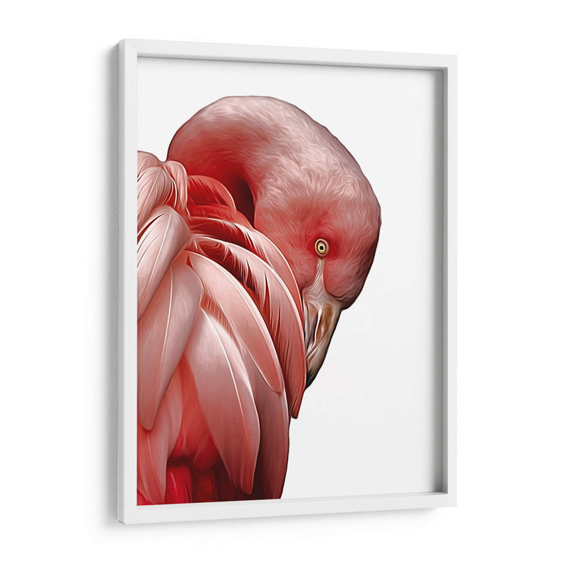 Perfil de Flamenco - Alemi | Cuadro decorativo de Canvas Lab