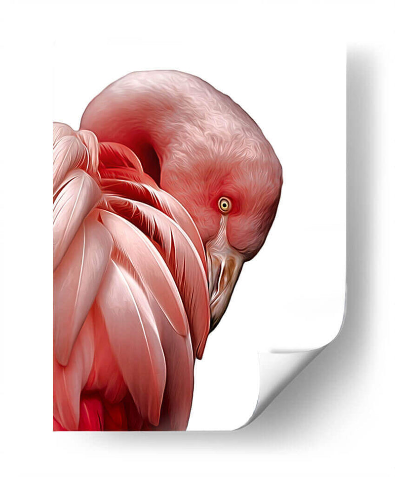 Perfil de Flamenco - Alemi | Cuadro decorativo de Canvas Lab