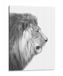 Perfil de León Blanco y Negro - Alemi | Cuadro decorativo de Canvas Lab