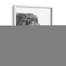 Perfil de León Blanco y Negro - Alemi | Cuadro decorativo de Canvas Lab