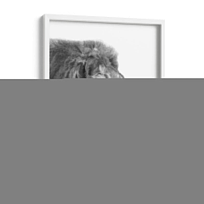 Perfil de León Blanco y Negro - Alemi | Cuadro decorativo de Canvas Lab