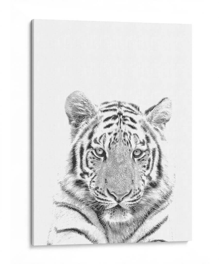 Tigre Blanco y Negro - Alemi | Cuadro decorativo de Canvas Lab