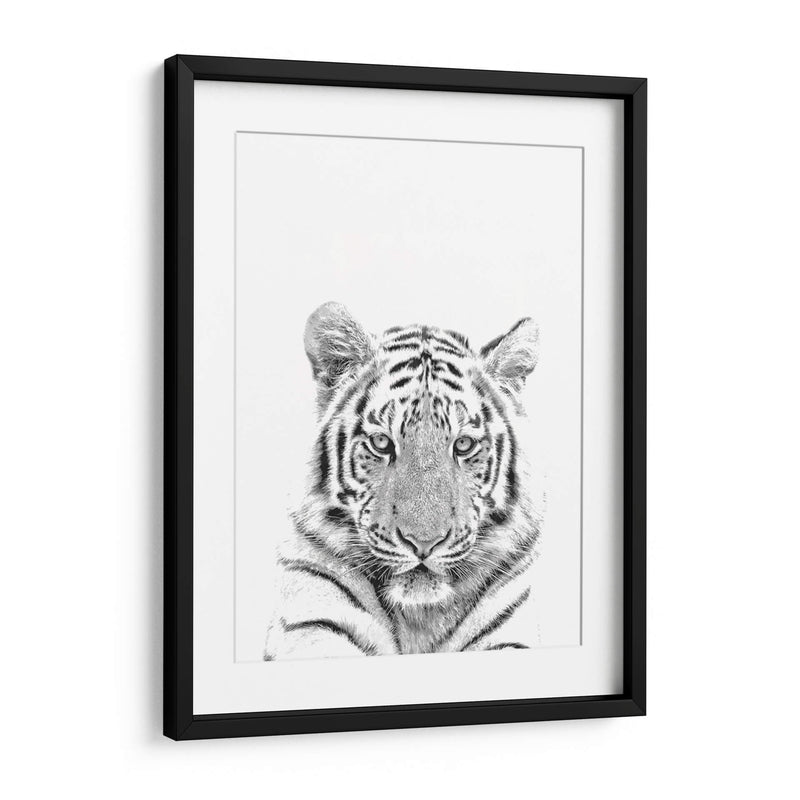 Tigre Blanco y Negro - Alemi | Cuadro decorativo de Canvas Lab