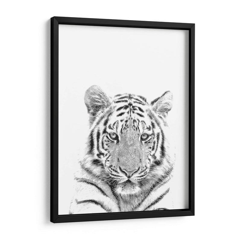 Tigre Blanco y Negro - Alemi | Cuadro decorativo de Canvas Lab