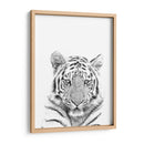 Tigre Blanco y Negro - Alemi | Cuadro decorativo de Canvas Lab