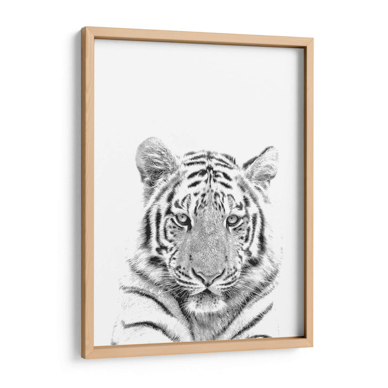 Tigre Blanco y Negro - Alemi | Cuadro decorativo de Canvas Lab