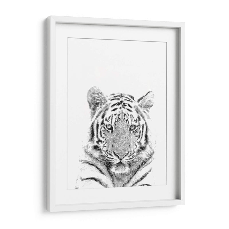 Tigre Blanco y Negro - Alemi | Cuadro decorativo de Canvas Lab